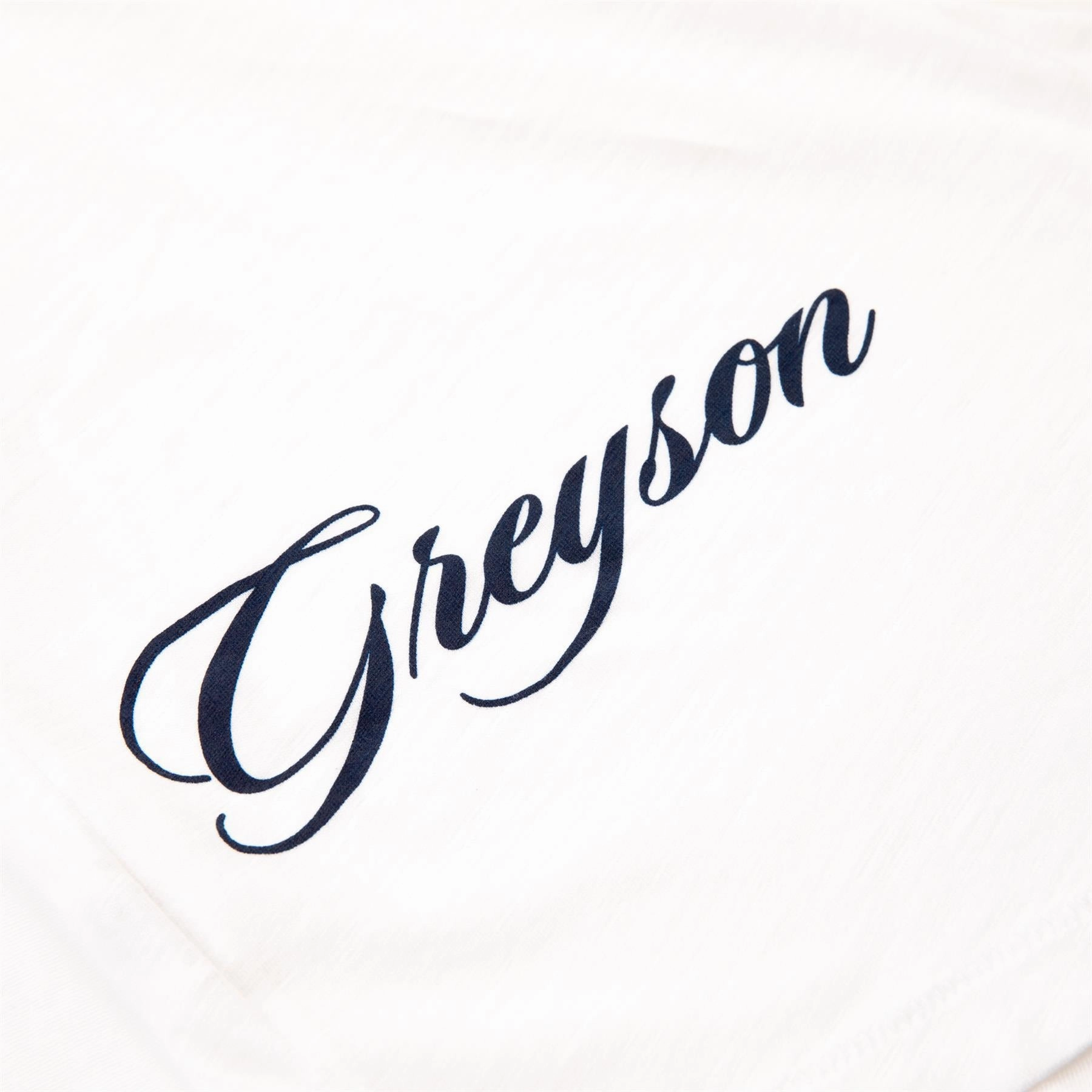 Alpha Slub T-Shirt Arctic Greyson Men's Clothing