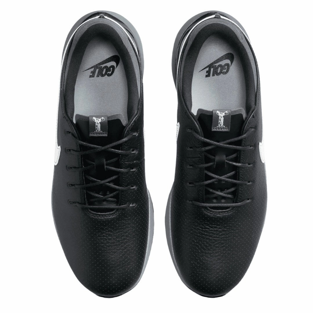 Lifestyle Sneakers, All-Season Sneakers Nike Air Zoom Victory Tour 3 Golf Shoes DV6798