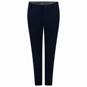 Dealer Joggers Navy Blazer Puma men's athletic clothing