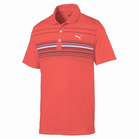 Essential Hoodie Puma Canyon Golf Polo Shirt 532977 Padded Vest childrens swimming suit, women's v-neck top, fitness zip jacket