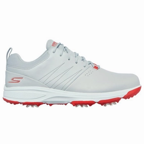 Seamless Upper Shoes Everyday Fit Skechers Go Golf Torque Pro Golf Shoes 214002 City Walk Shoes Smooth Finish Shoes