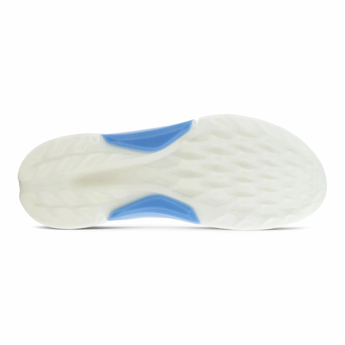 Grippy Sole Shoes Ecco Biom Hybrid 4 Golf Shoes 108284 Breathable Sneakers