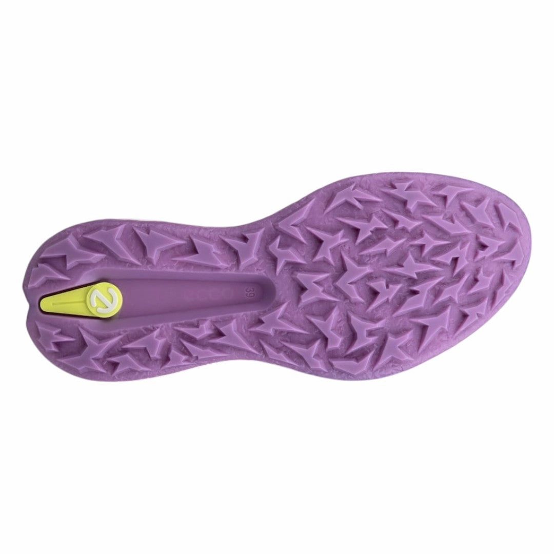 Minimal Walking Shoes, Clean Look Sneakers, Molded Footbed Shoes Ecco Ladies Biom H5 Golf Shoes 115003