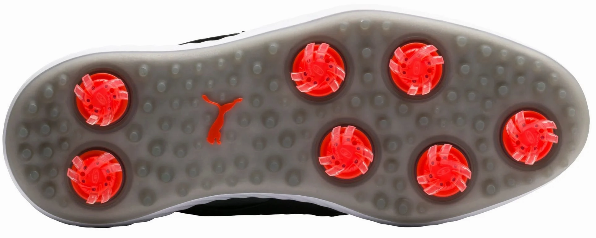 Puma Men's TOUR EDITION - IGINITE PWRAdapt Caged DISC  Golf Shoes - QUIET SHADE / BRONZE / PUMA BLACK Puma LTD Tour Edition Golf Shoes