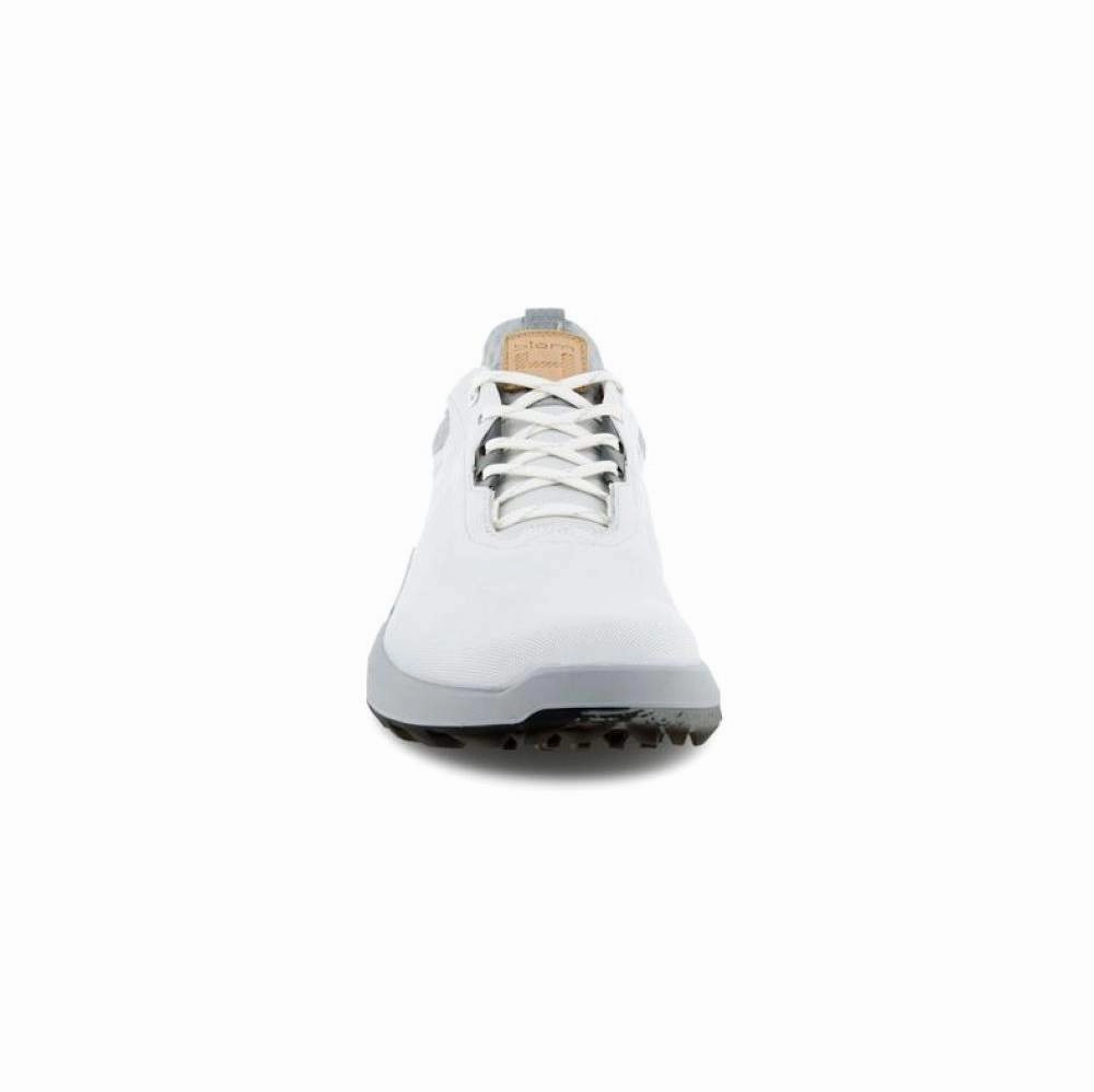 Ecco Biom Hybrid 4 Golf Shoes 108204 Futuristic Shoes, Athleisure Shoes